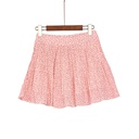 XK312999 Pleated Chiffon Skirt Lady